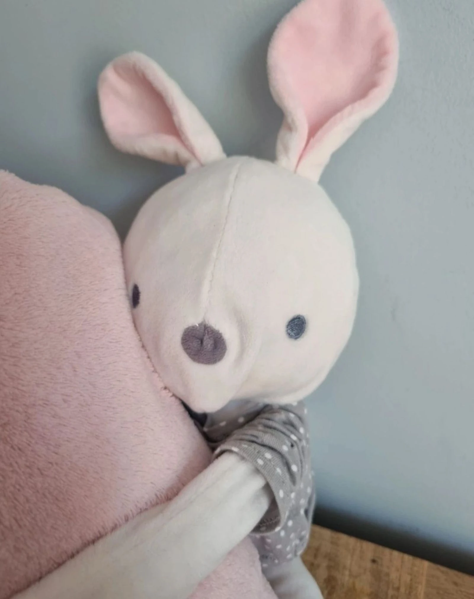 Peluche de conejo Obaïbi con manta rosa – photo 3